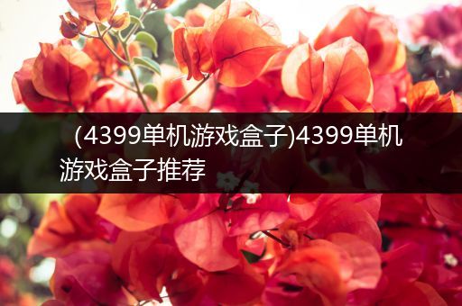（4399单机游戏盒子)4399单机游戏盒子推荐