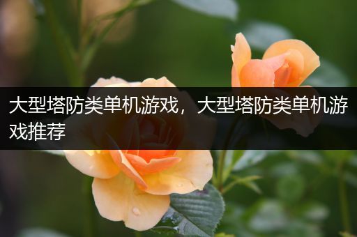 大型塔防类单机游戏，大型塔防类单机游戏推荐