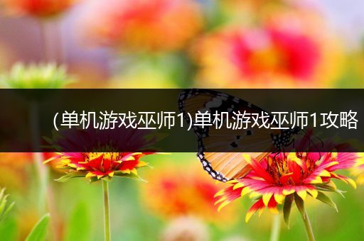（单机游戏巫师1)单机游戏巫师1攻略