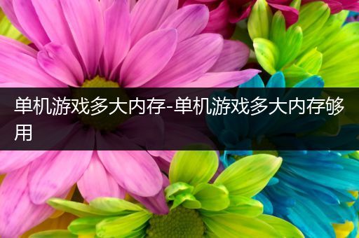 单机游戏多大内存-单机游戏多大内存够用