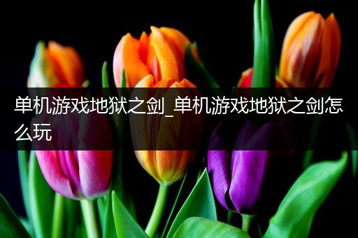 单机游戏地狱之剑_单机游戏地狱之剑怎么玩