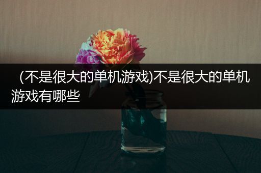 （不是很大的单机游戏)不是很大的单机游戏有哪些