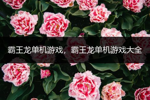 霸王龙单机游戏，霸王龙单机游戏大全