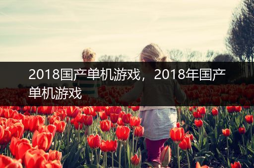 2018国产单机游戏，2018年国产单机游戏