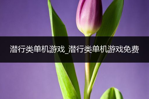 潜行类单机游戏_潜行类单机游戏免费