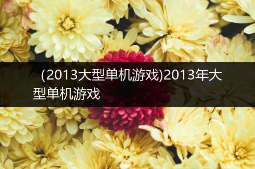 （2013大型单机游戏)2013年大型单机游戏