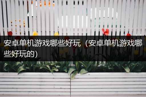 安卓单机游戏哪些好玩（安卓单机游戏哪些好玩的）