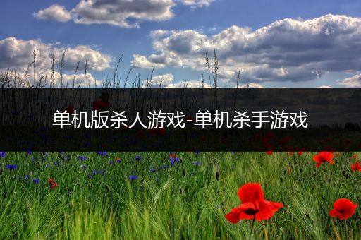 单机版杀人游戏-单机杀手游戏