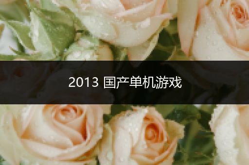 2013 国产单机游戏