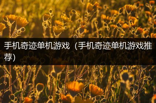 手机奇迹单机游戏（手机奇迹单机游戏推荐）