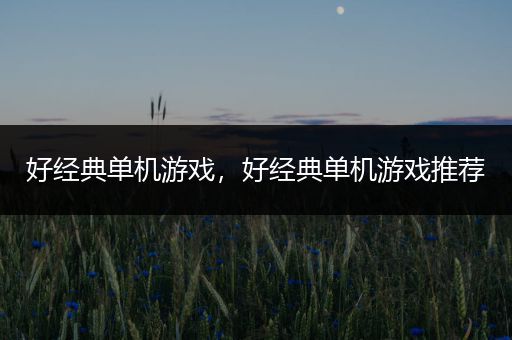 好经典单机游戏，好经典单机游戏推荐