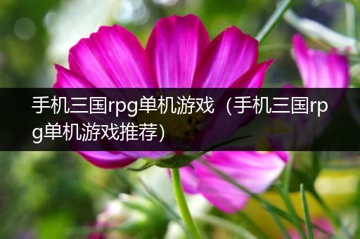 手机三国rpg单机游戏（手机三国rpg单机游戏推荐）