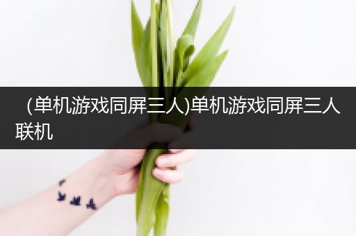 （单机游戏同屏三人)单机游戏同屏三人联机