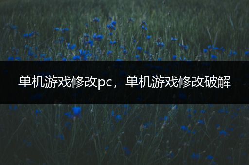 单机游戏修改pc，单机游戏修改破解