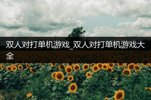 双人对打单机游戏_双人对打单机游戏大全