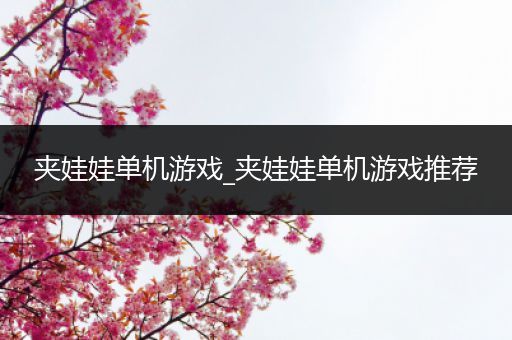 夹娃娃单机游戏_夹娃娃单机游戏推荐