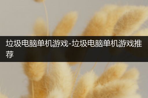 垃圾电脑单机游戏-垃圾电脑单机游戏推荐