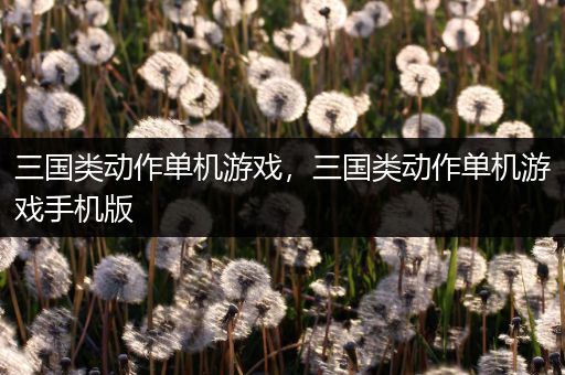 三国类动作单机游戏，三国类动作单机游戏手机版