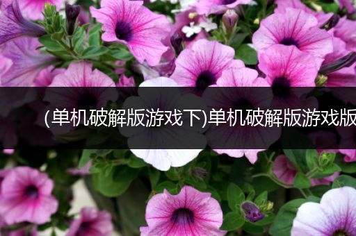 （单机破解版游戏下)单机破解版游戏版