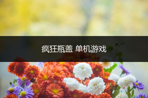 疯狂瓶盖 单机游戏
