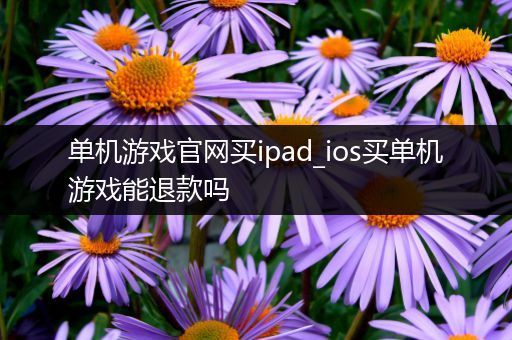 单机游戏官网买ipad_ios买单机游戏能退款吗