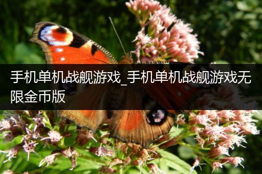 手机单机战舰游戏_手机单机战舰游戏无限金币版