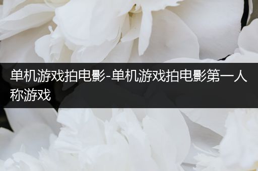 单机游戏拍电影-单机游戏拍电影第一人称游戏