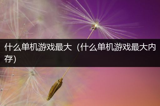 什么单机游戏最大（什么单机游戏最大内存）