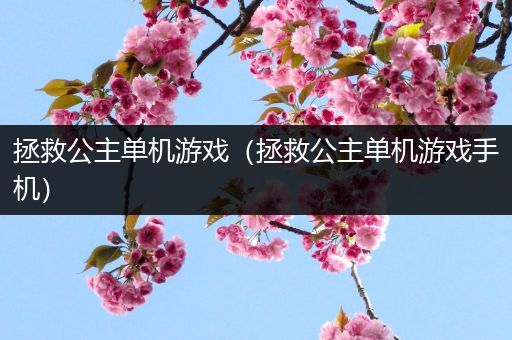 拯救公主单机游戏（拯救公主单机游戏手机）