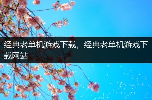 经典老单机游戏下载，经典老单机游戏下载网站