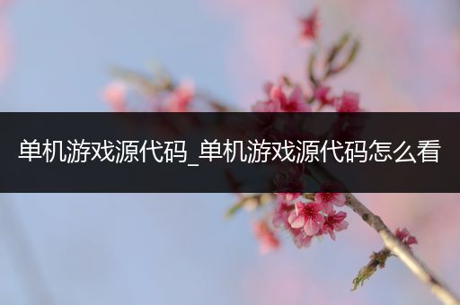 单机游戏源代码_单机游戏源代码怎么看