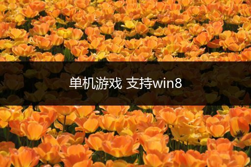 单机游戏 支持win8