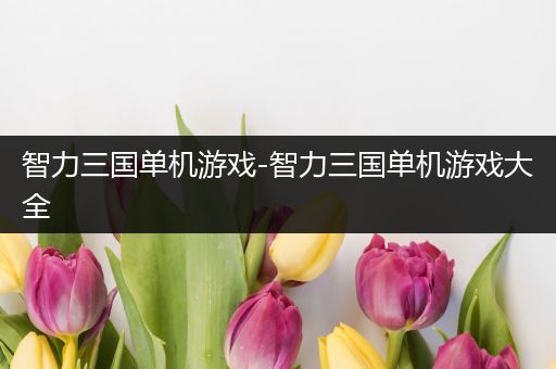 智力三国单机游戏-智力三国单机游戏大全