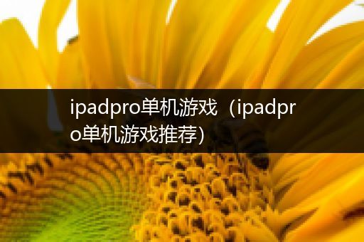 ipadpro单机游戏（ipadpro单机游戏推荐）