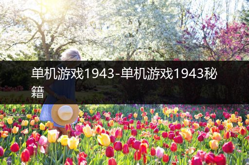 单机游戏1943-单机游戏1943秘籍