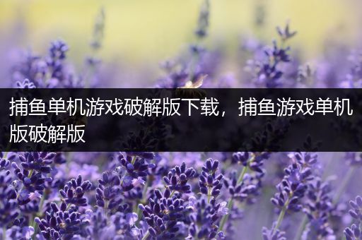 捕鱼单机游戏破解版下载，捕鱼游戏单机版破解版