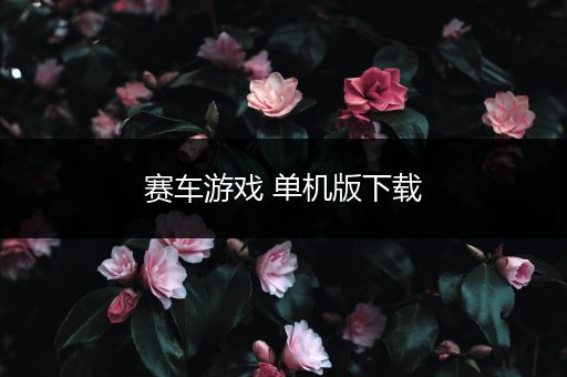 赛车游戏 单机版下载
