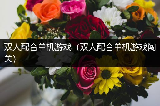 双人配合单机游戏（双人配合单机游戏闯关）