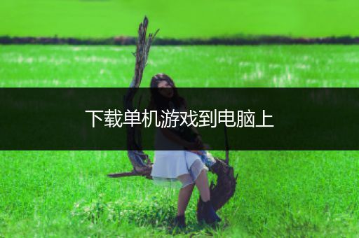 下载单机游戏到电脑上