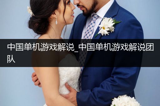 中国单机游戏解说_中国单机游戏解说团队