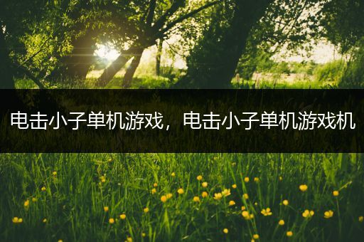 电击小子单机游戏，电击小子单机游戏机