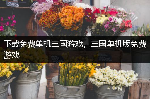 下载免费单机三国游戏，三国单机版免费游戏