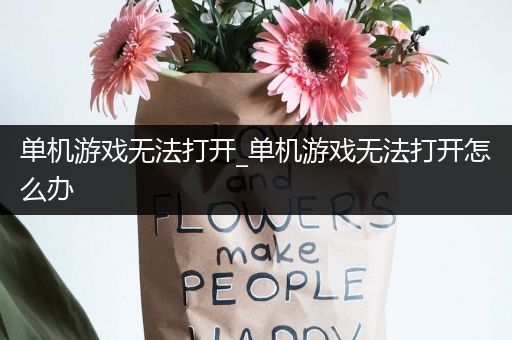 单机游戏无法打开_单机游戏无法打开怎么办