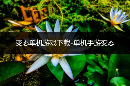 变态单机游戏下载-单机手游变态