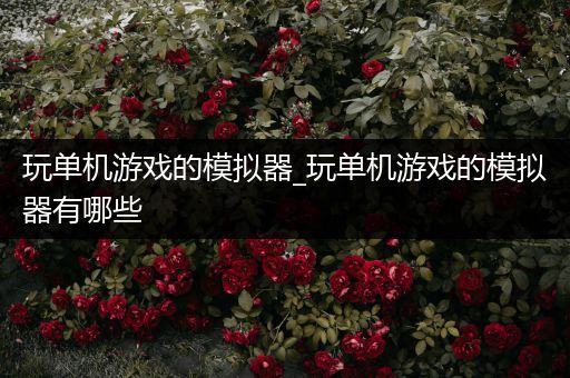 玩单机游戏的模拟器_玩单机游戏的模拟器有哪些