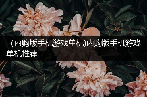 （内购版手机游戏单机)内购版手机游戏单机推荐