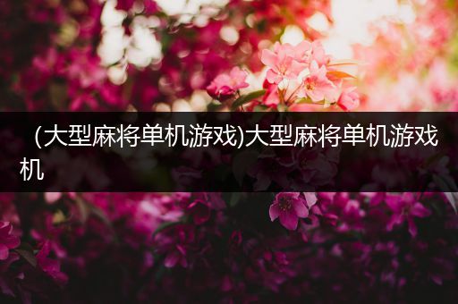 （大型麻将单机游戏)大型麻将单机游戏机