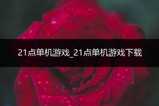21点单机游戏_21点单机游戏下载