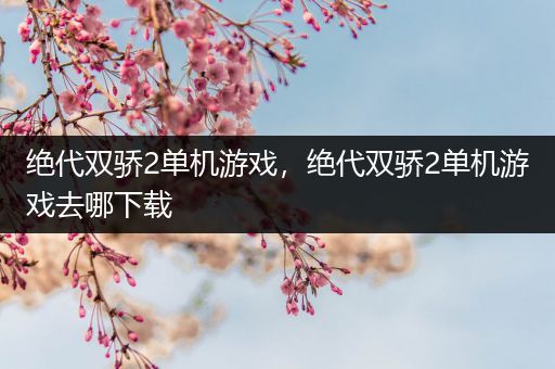绝代双骄2单机游戏，绝代双骄2单机游戏去哪下载