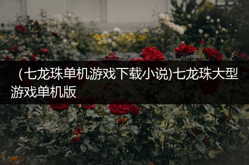 （七龙珠单机游戏下载小说)七龙珠大型游戏单机版